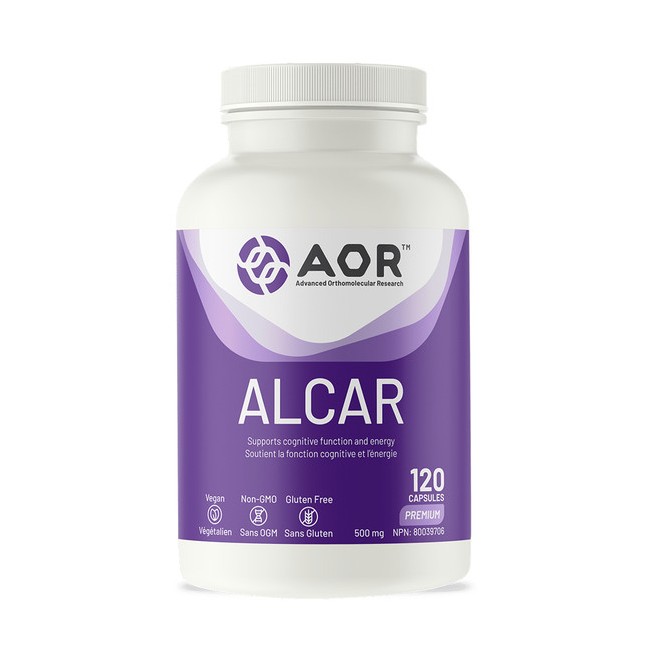 AOR ALCAR 아세틸 L-카르니틴 500mg 120정