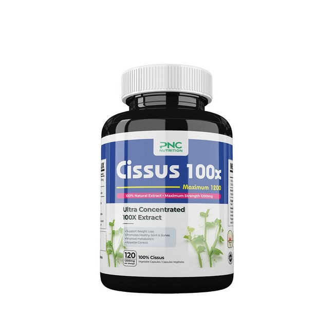 PNC 시서스 추출물 100배고농축 1200mg 120캡슐