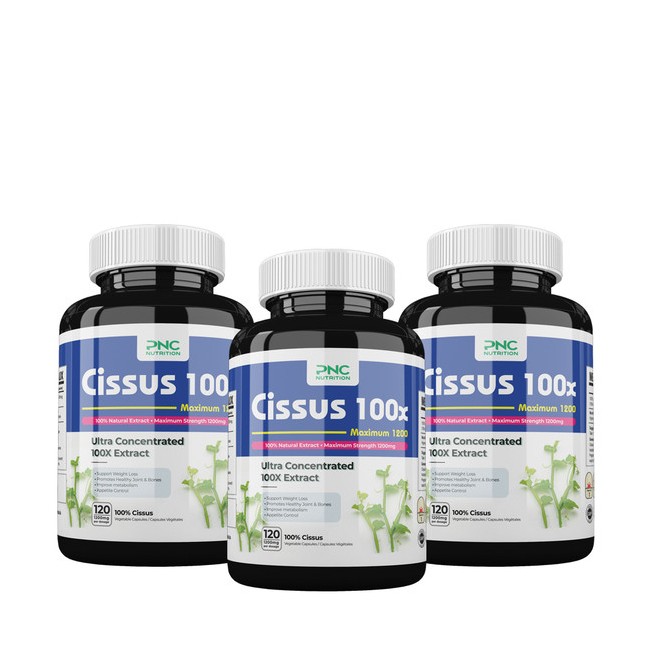 PNC 시서스 추출물 고농축 1200mg 120캡슐 3병