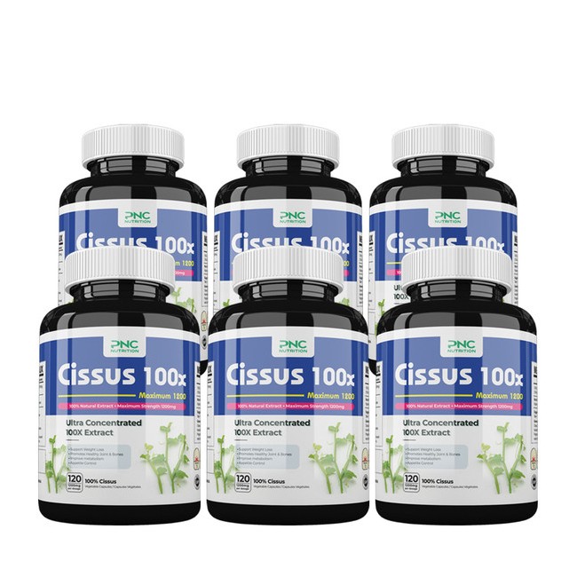 PNC 시서스 추출물 고농축 1200mg 120캡슐 6병