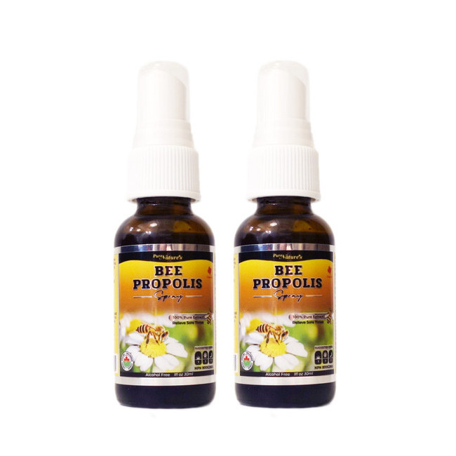 PNC 비 프로폴리스 스프레이 30ml 캐나다산 2병