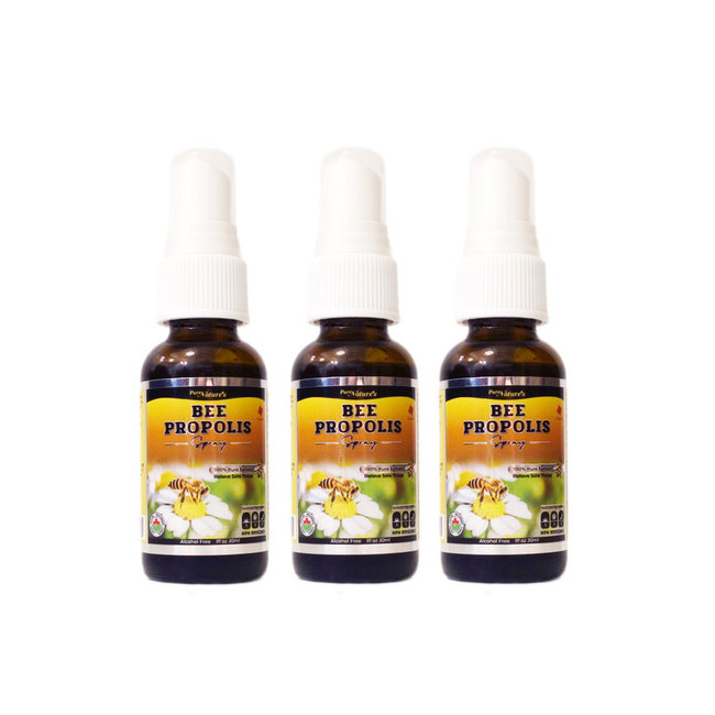 PNC 비 프로폴리스 스프레이 30ml 캐나다산 3병