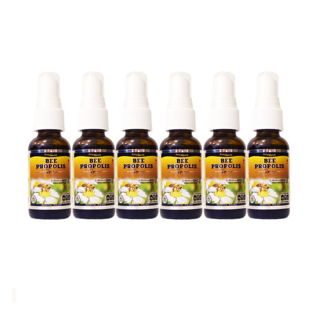PNC 비 프로폴리스 스프레이 30ml 캐나다산 6병