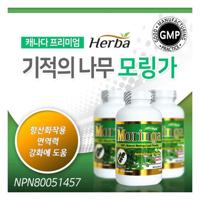 허바 모링가 180정 (HERBA - MORINGA)