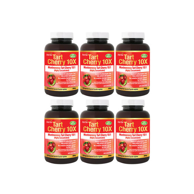 허바 타트체리 10배 고농축 120정x6병 (Herba Tart Cherry 10x 120caps)