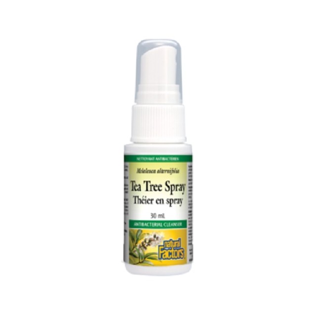 내추럴팩터스 티트리스프레이 30ml (Natural Factors Tea Tree Spray)