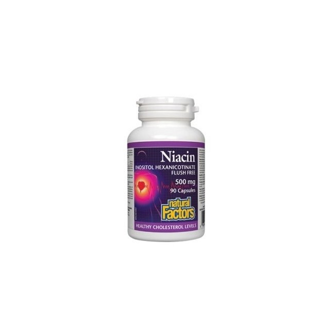 내추럴팩터스 나이아신 이노시톨 헥산니코티네이트 500mg 90정 (Niacin Inositol Hexanicotinate)