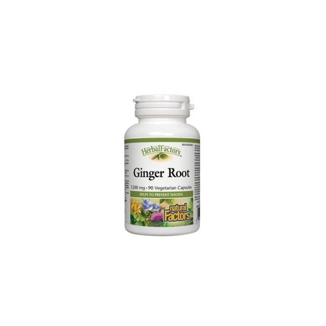 내추럴팩터스 생강뿌리 1200mg 90정 진저 루츠 (Natural Factors Ginger Root)