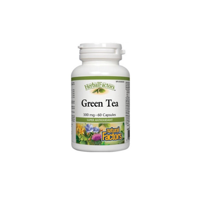 내추럴팩터스 녹차추출물 300mg 60정 (Natural Factors Green Tea)