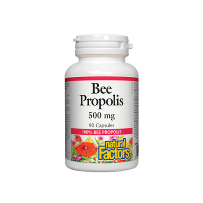 내추럴팩터스 비프로폴리스 500mg 90정 (Natural Factors Bee Propolis)