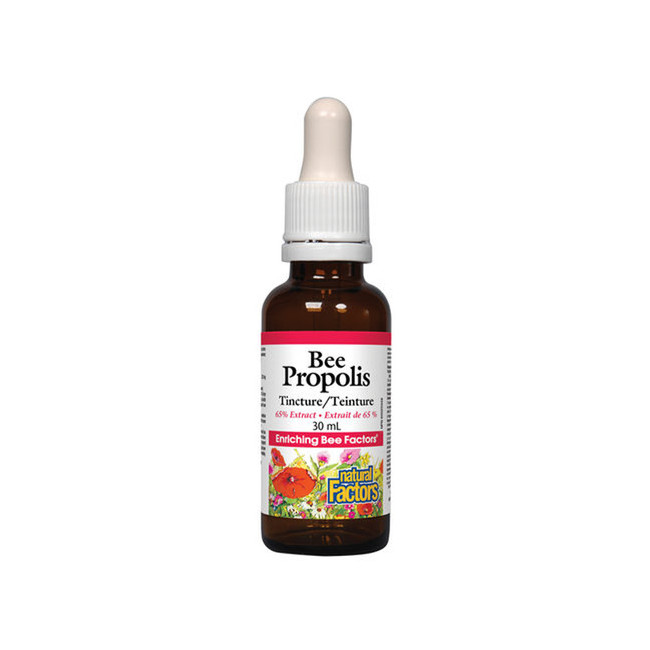 내추럴팩터스 액체형 비프로폴리스 65% 30ml (Natural Factors Bee Propolis)