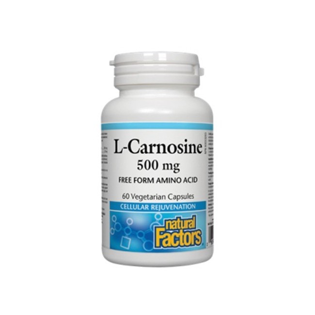 내추럴팩터스 L-카르노신 500mg 60정 (Natural Factors L-Carnosine)