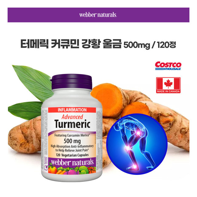 웨버 네츄럴 터메릭 튜메릭 강황 울금 어드밴스드 500mg 120정 캐나다 코스트코