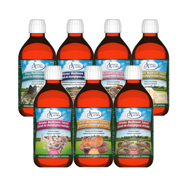 오메가알파 농축 버섯추출물 7종중택1 이뮨서포트 250mL