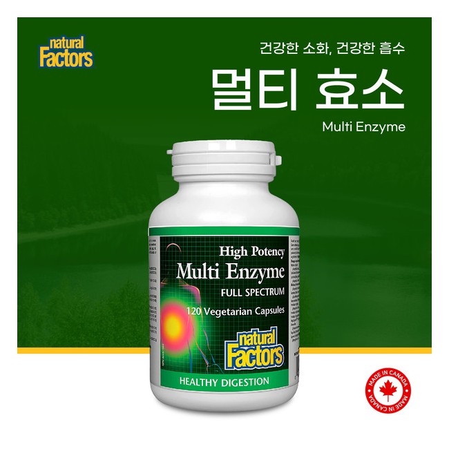내추럴팩터스 하이포텐시 멀티 엔자임 120정 멀티효소