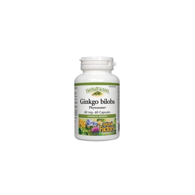 내추럴팩터스 징코 빌로바 60mg 60정 은행나무추출물