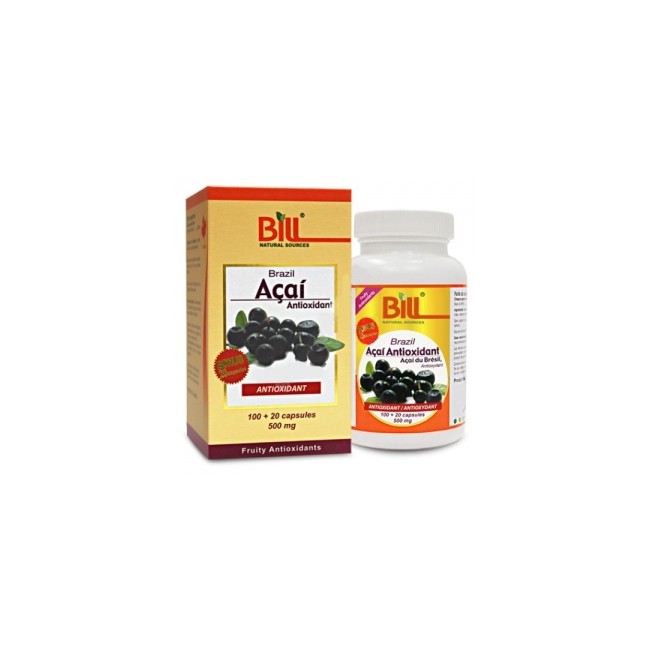빌 아사이베리 500mg 120정