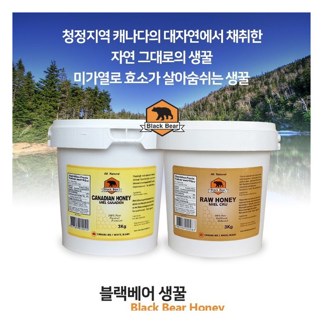 캐나다 블랙베어 꿀 캐나다 프리미엄 허니 생꿀 3KG 직배송