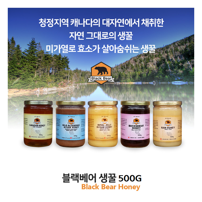 블랙베어 캐나다 온타리오 프리미엄 허니 생꿀 500G