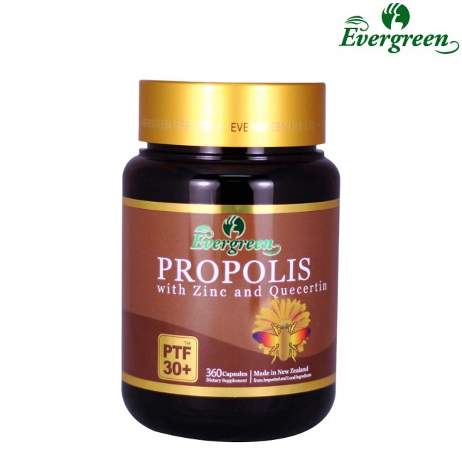Evergreen Propolis PTF30+ 360caps
