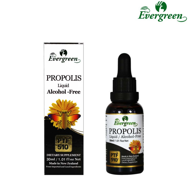 Evergreen Propolis Liquid(Alcohol free) 30ml
