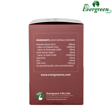 Evergreen Propolis 6000 80caps